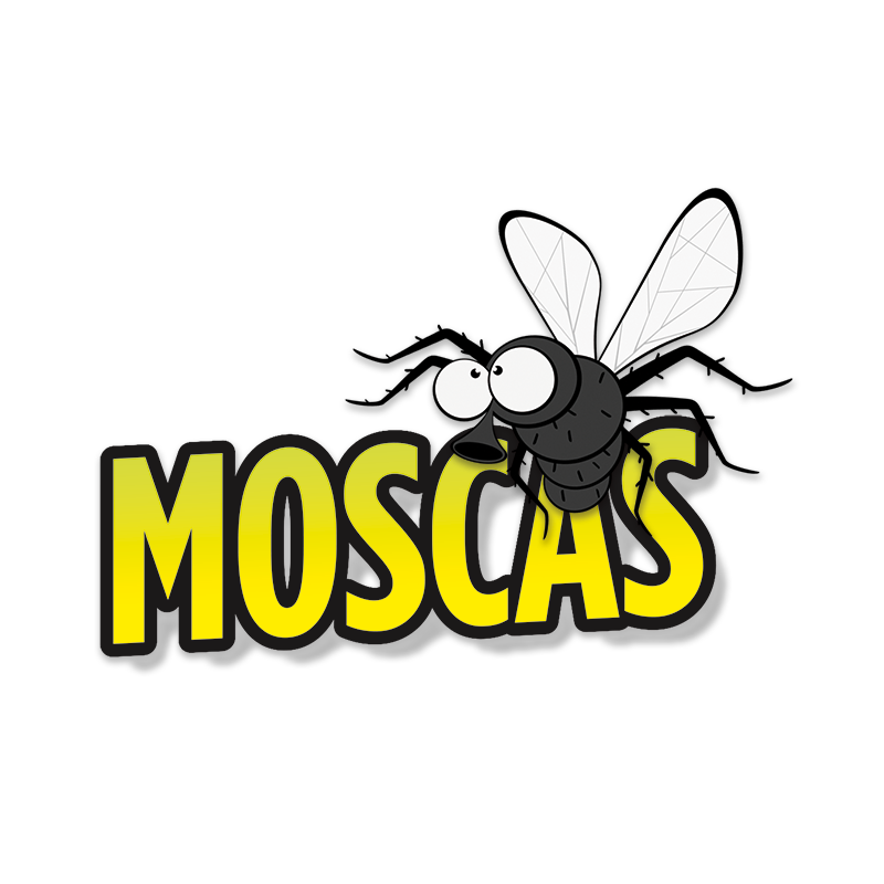 [1907] 12 MOSQUES