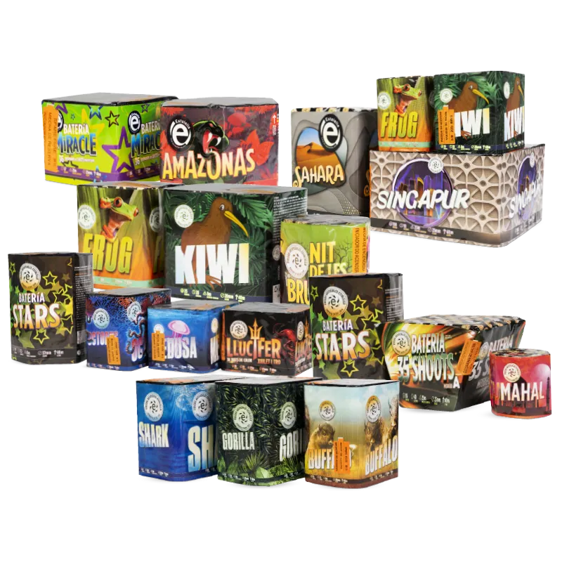 [10060] PACK 19 BATERIES